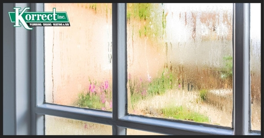 condensation on windows