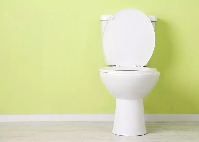 photo of a toilet and a green wall