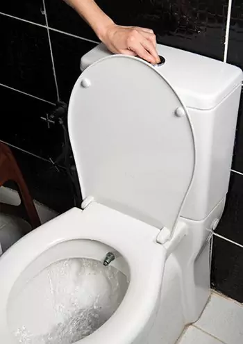 Person flushing a toilet