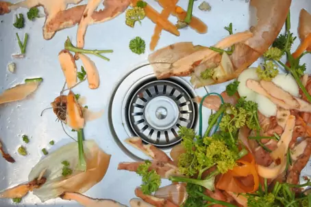 food scraps in sink